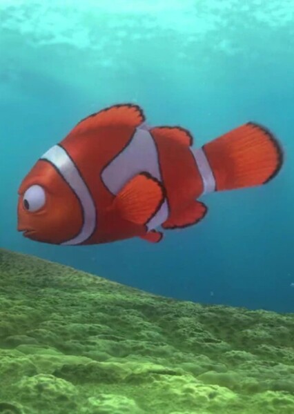 Marlin photo