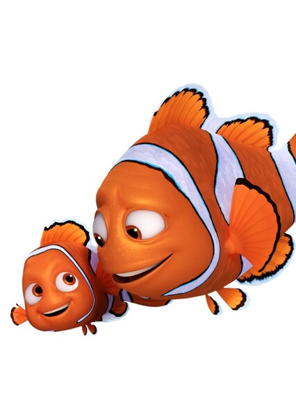 Marlin and Nemo photo