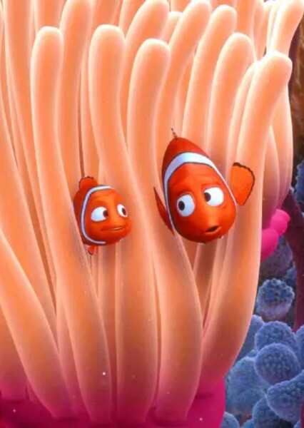Marlin and Nemo photo