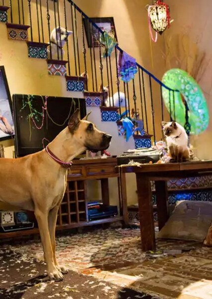 Marmaduke and Carlos photo