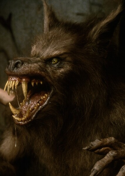 Marsha Quist (The Howling) photo