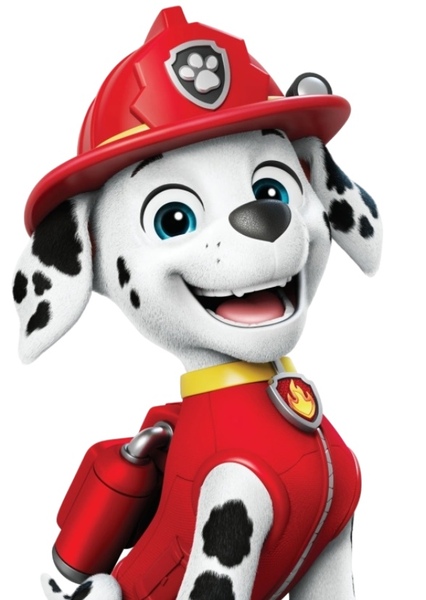 Marshall (PAW Patrol) photo