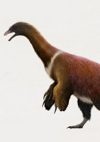 Martharaptor photo
