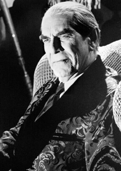 Martin Landau photo