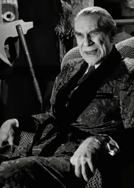 Martin Landau photo
