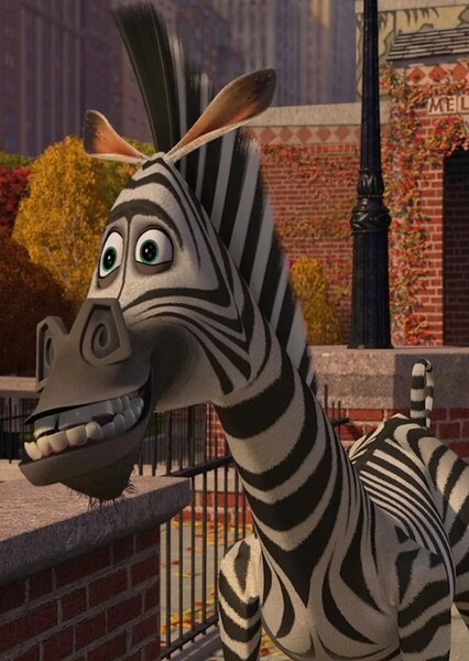 Marty the Zebra