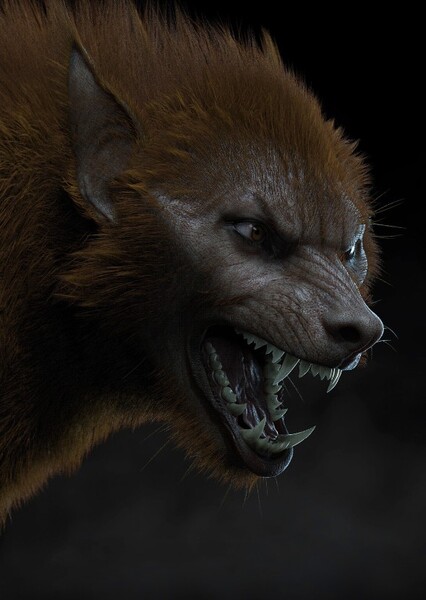 Mary (Wolf Like Me) photo
