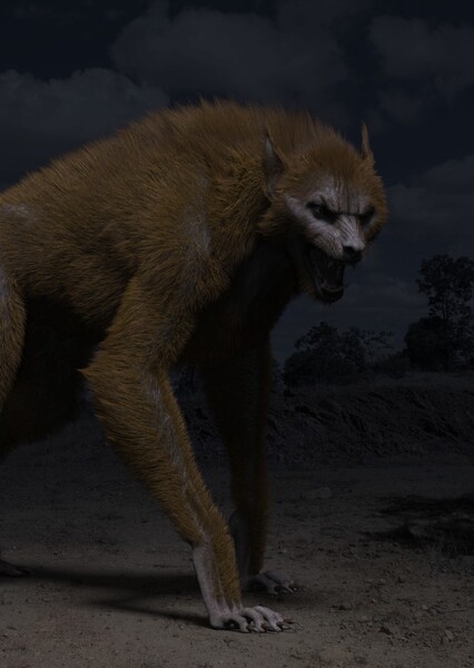 Mary (Wolf Like Me) photo