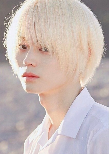 Masaki Suda photo