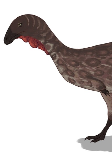Masiakasaurus photo