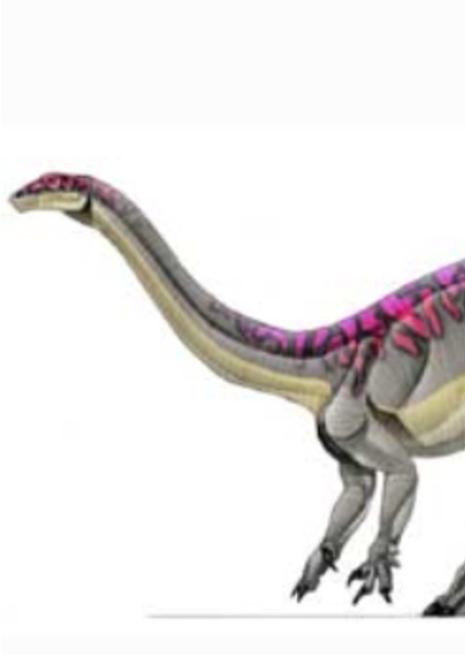 Massospondylus photo