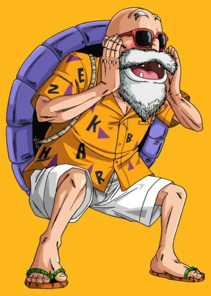 Master Roshi photo