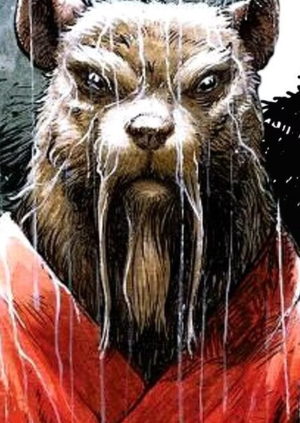 Master Splinter (TMNT) photo