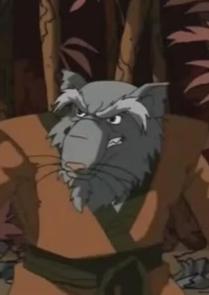 Master Splinter (TMNT) photo
