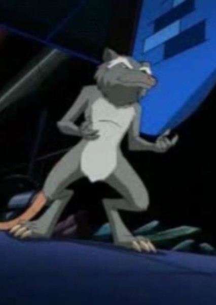 Master Splinter (TMNT 2003) photo