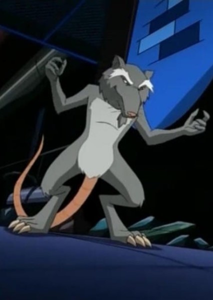 Master Splinter (TMNT 2003) photo