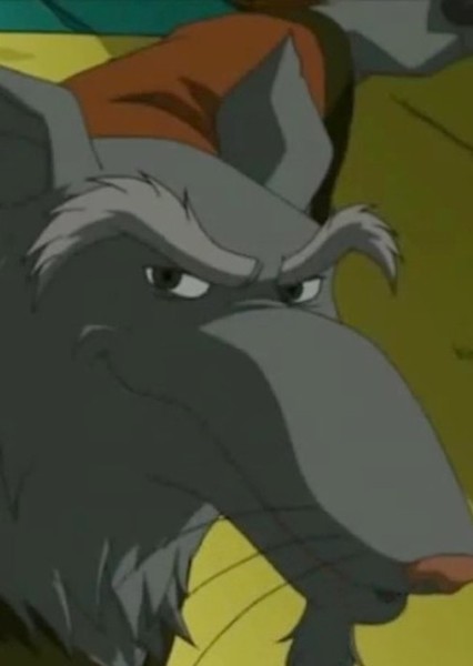 Master Splinter (TMNT 2003) photo