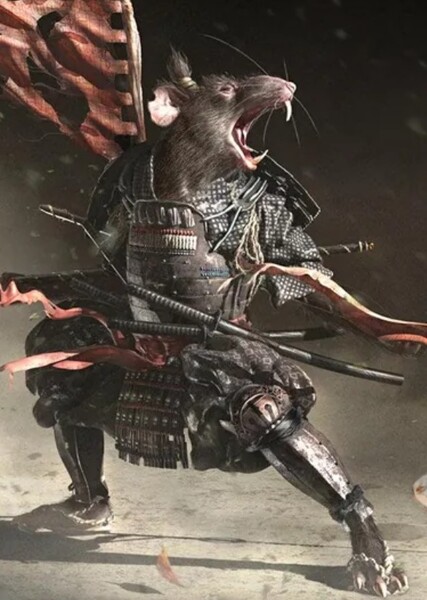 Master Splinter (TMNT 2014) photo
