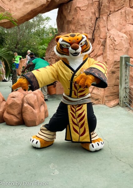 Master Tigress photo
