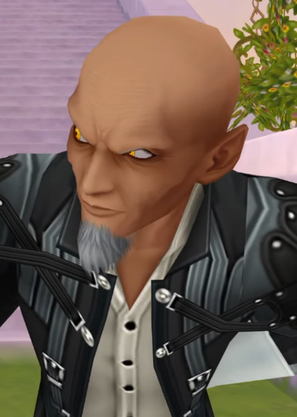Master Xehanort photo