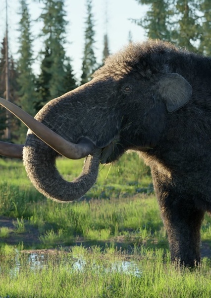 Mastodon photo