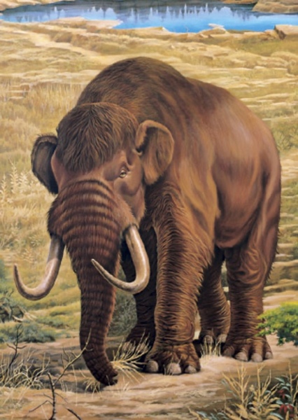 Mastodon