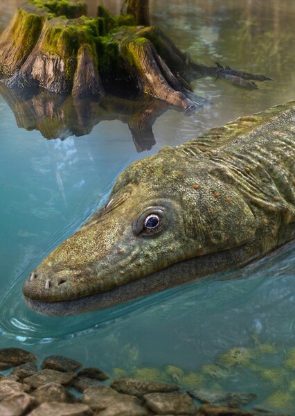 Triassic Trail