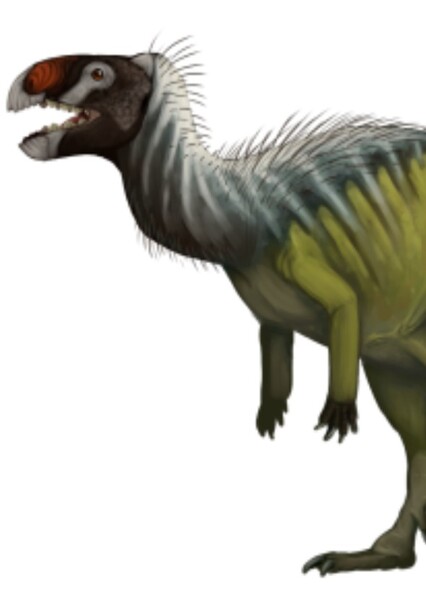 Matheronodon