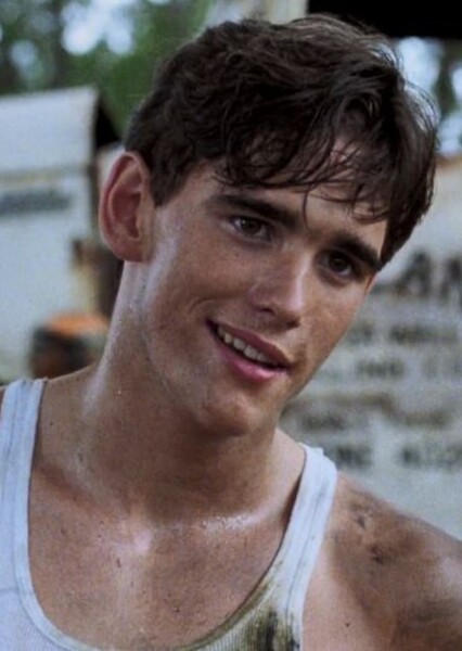 Matt Dillon