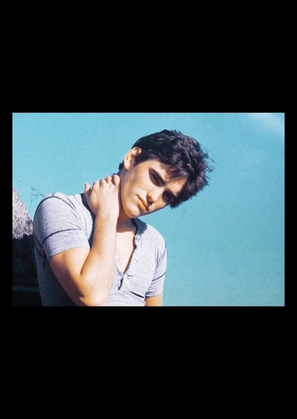 Matt Dillon photo