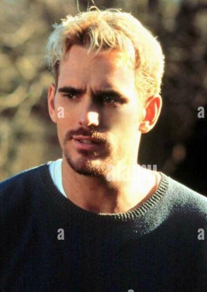 Matt Dillon photo