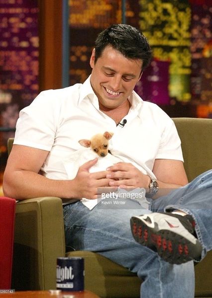 Matt LeBlanc photo