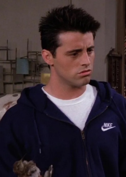 Matt LeBlanc photo