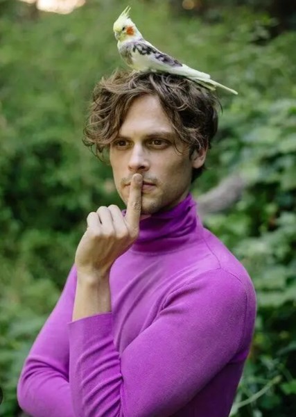 Matthew Gray Gubler photo