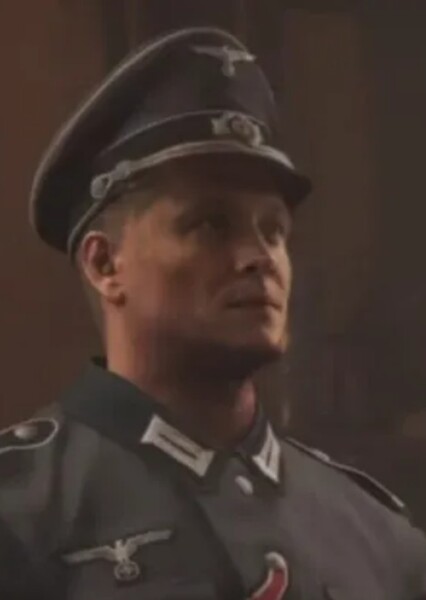 Matthias Schweighöfer photo