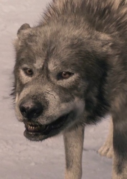 Maugrim the Wolf