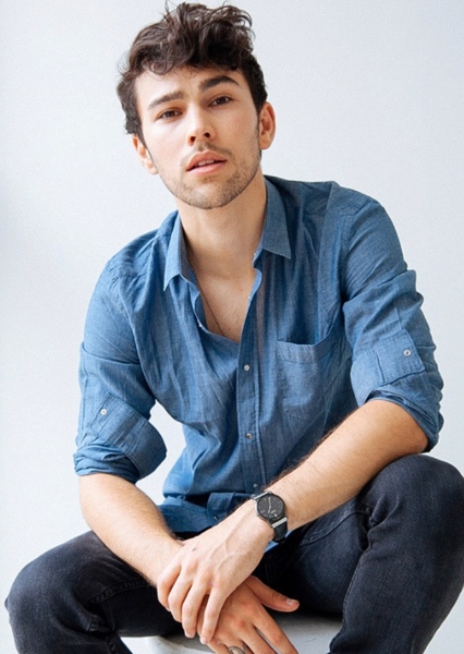 Max Schneider photo