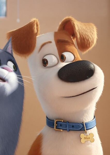 Max (The Secret Life of Pets) photo