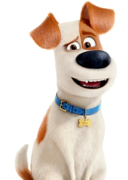 Max (The Secret Life of Pets)