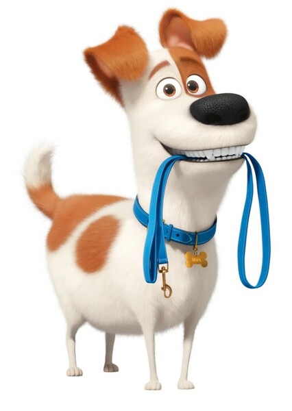 Max (The Secret Life of Pets) photo