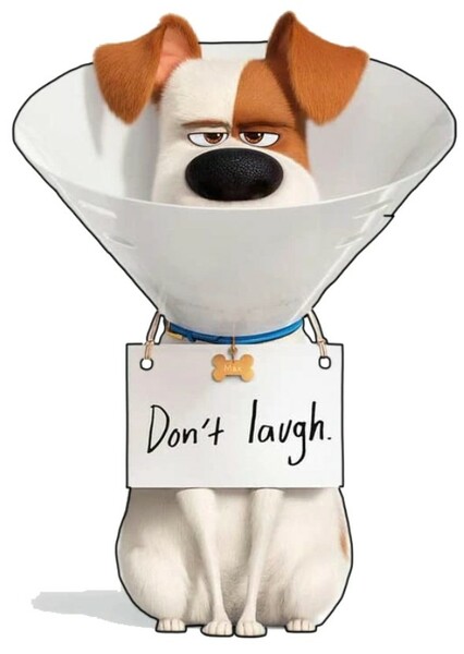 Max (The Secret Life of Pets)
