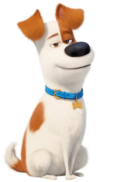 Max (The Secret Life of Pets) photo
