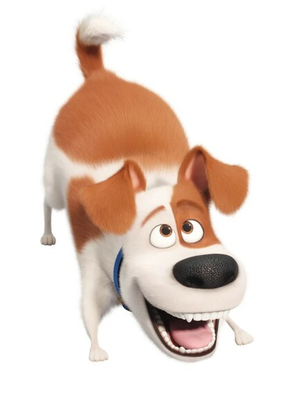 Max (The Secret Life of Pets) photo