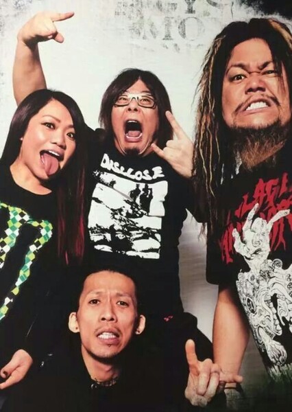 Maximum the Hormone