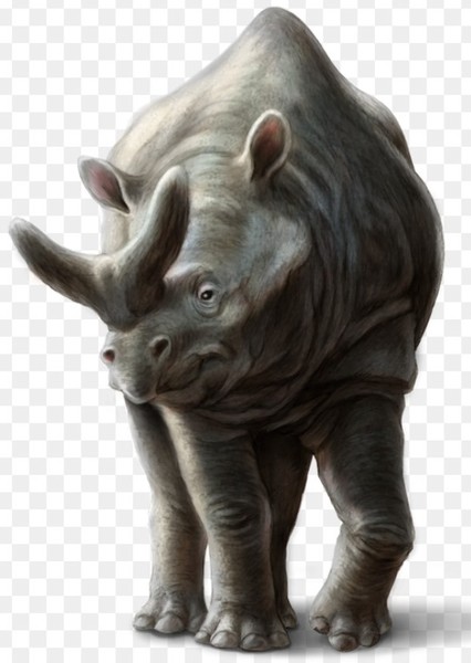Megacerops photo