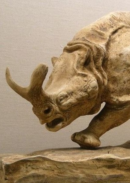 Megacerops photo