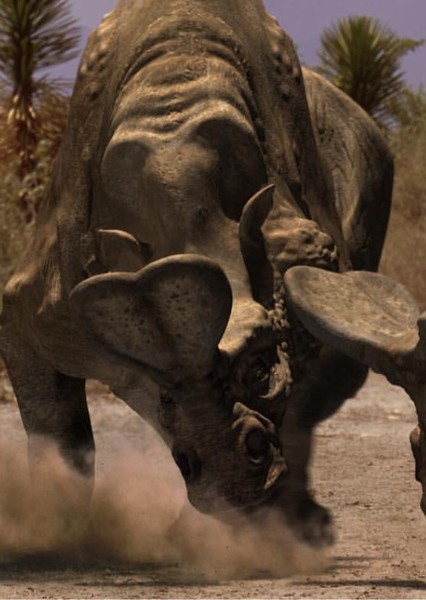 Megacerops photo