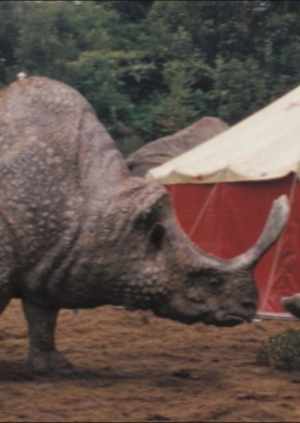 Megacerops photo