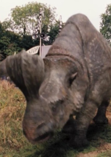 Megacerops photo