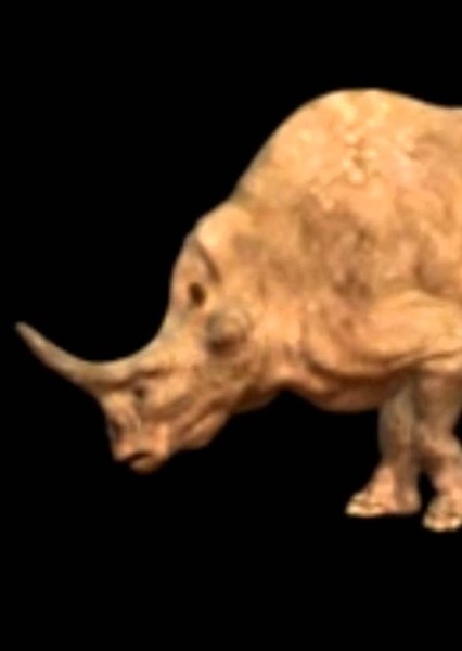 Megacerops photo